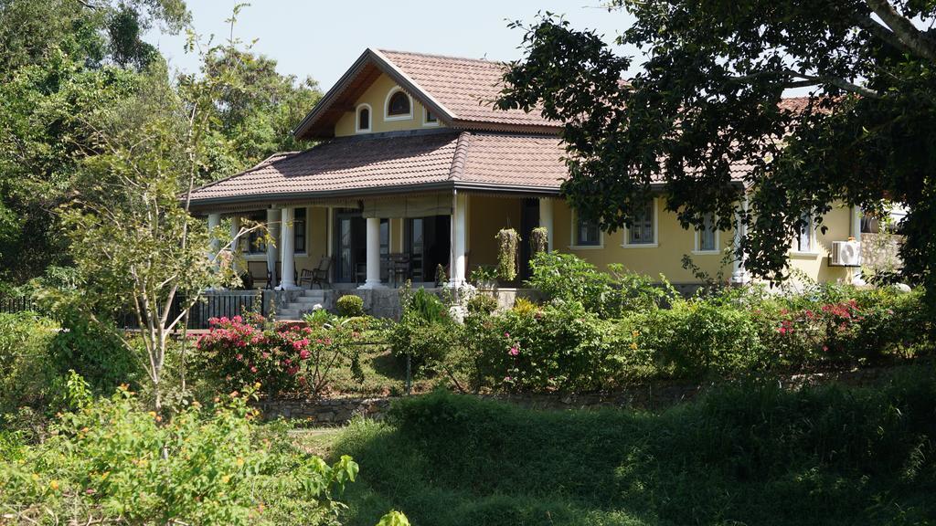 Villa Tee Four Digana Ngoại thất bức ảnh